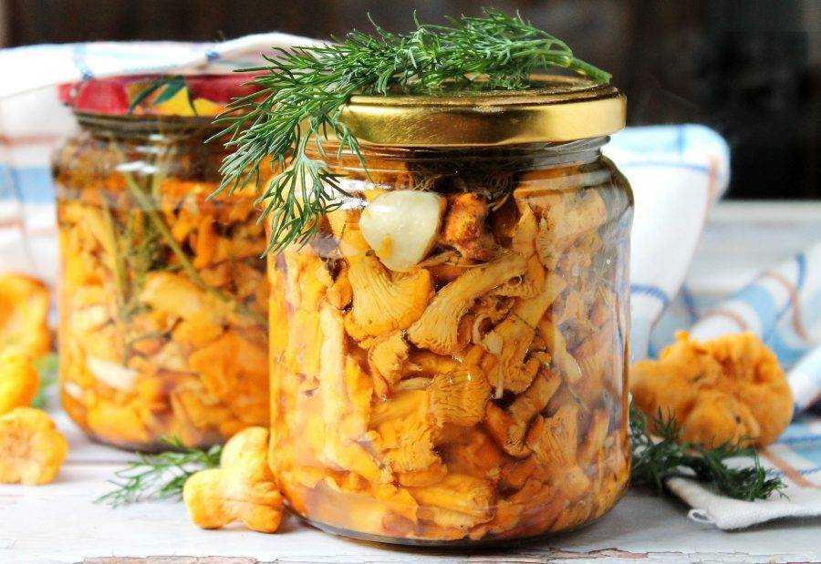 Лисички, маринованные на зиму: рецепты приготовления с фото пошагово