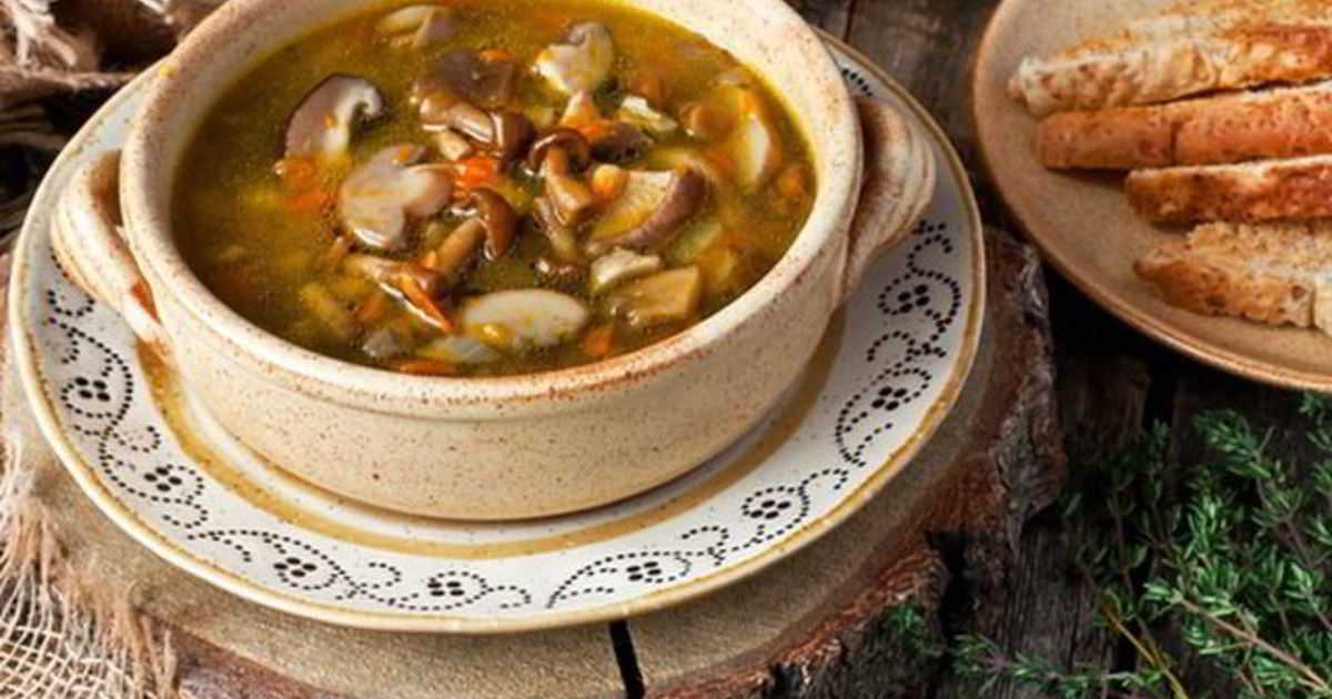 Суп из сушеных белых грибов. как сварить вкусный, рецепты пошагово с фото