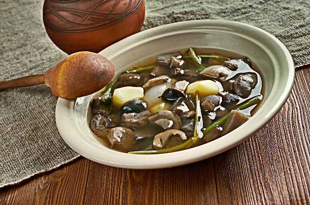 Грибной суп — 13 самых вкусных рецептов из свежих, сушеных и замороженных грибов