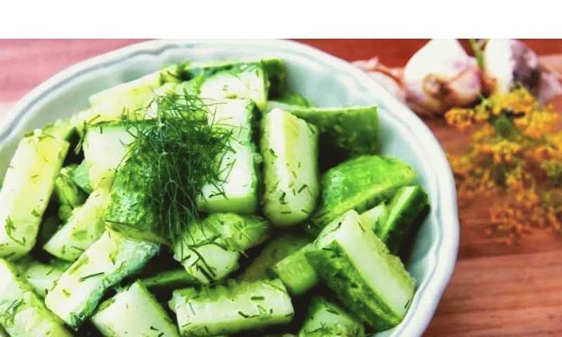 Салат из огурцов на зиму: топ-6 рецептов, кулинарные советы