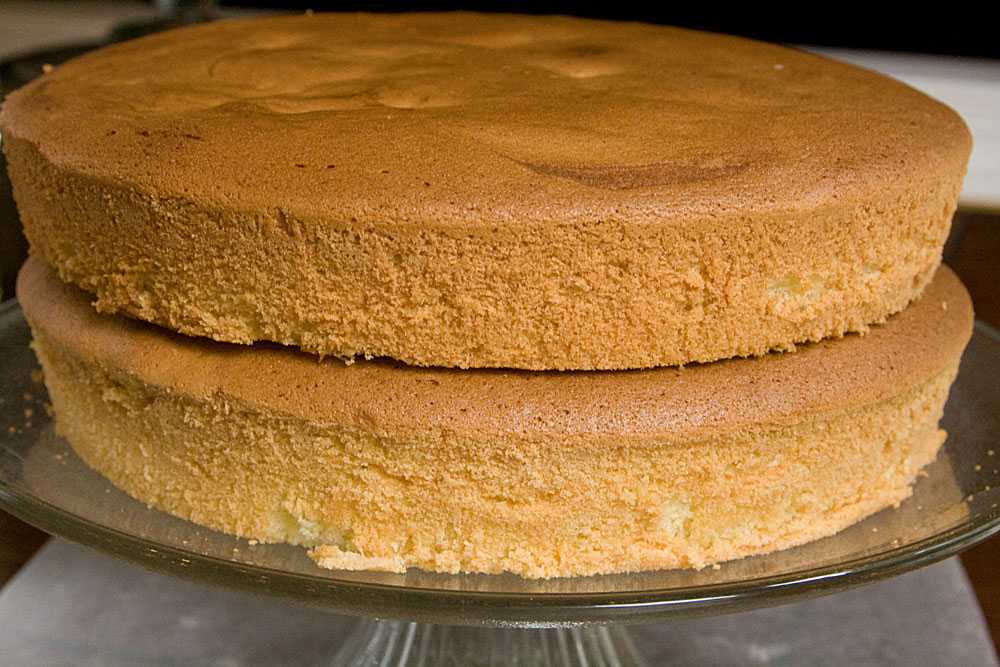 Почему падает бисквит. Бисквитный торт. Торт простой. Бисквитное тесто. Торт из бисквитного теста.