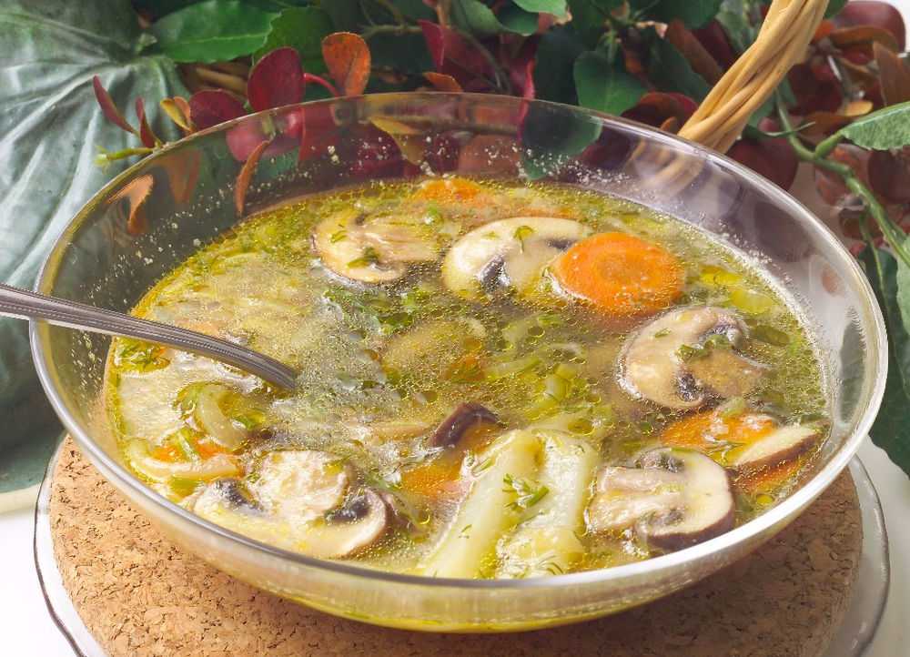 Суп из замороженных грибов - 6 рецептов приготовления пошагово - 1000.menu