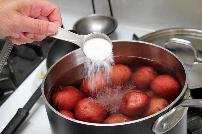 Как правильно варить картофель. как сварить картошку правильно? | интересные факты