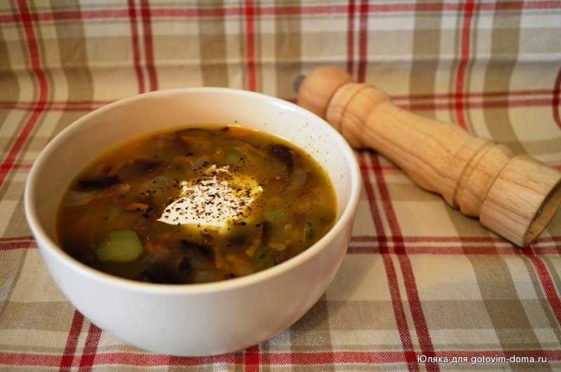 Грибной суп из свежих грибов, самые вкусные рецепты приготовления