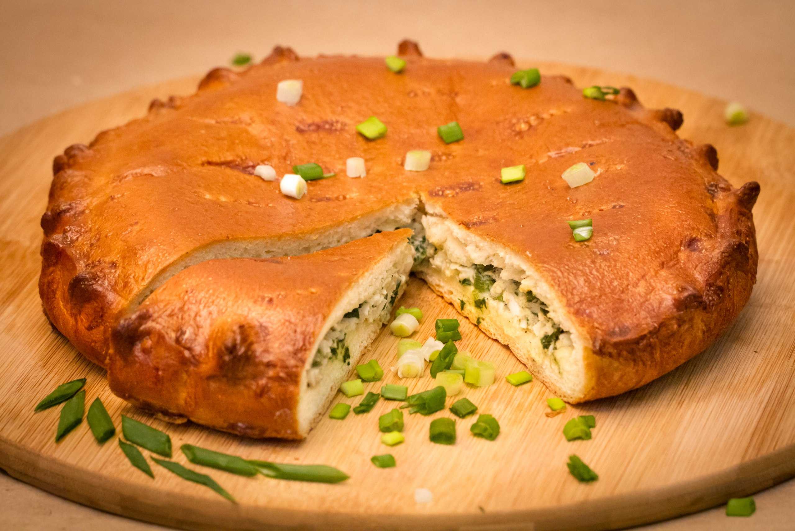 Луковый пирог - 7 несложных и очень вкусных рецептов с фото пирога с луком