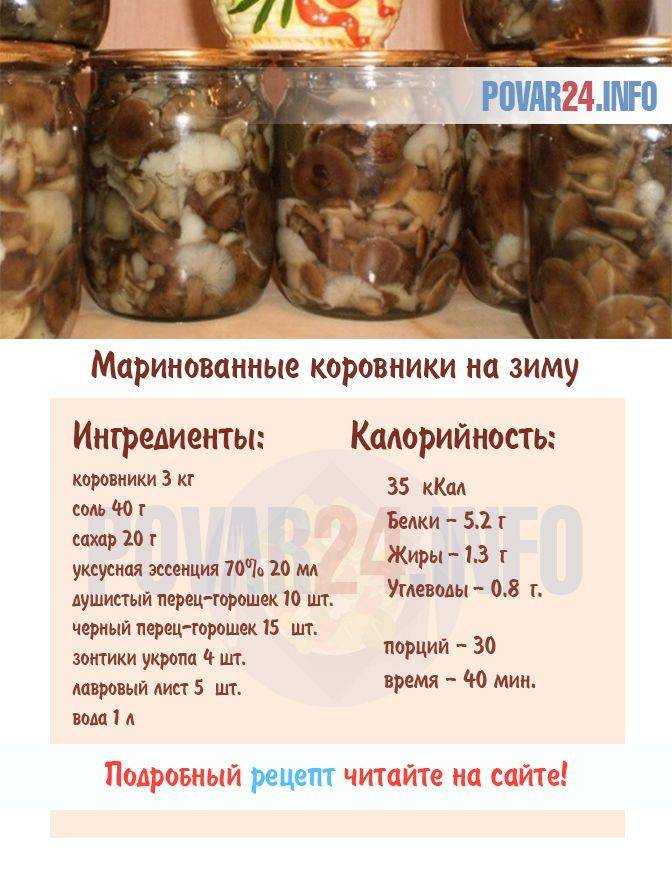 Сколько варить грибы и как это правильно делать? как варить сушеные и замороженные грибы? - автор екатерина данилова - журнал женское мнение