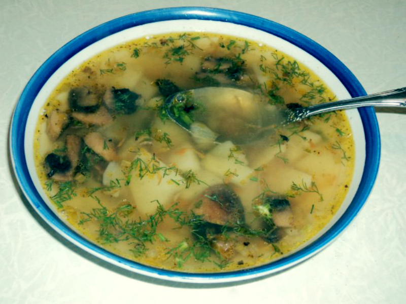 Как сварить грибной суп из свежих грибов? самые вкусные рецепты