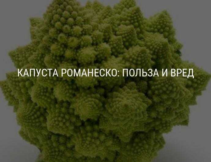 Капуста романеско: состав, калорийность, польза, рецепты