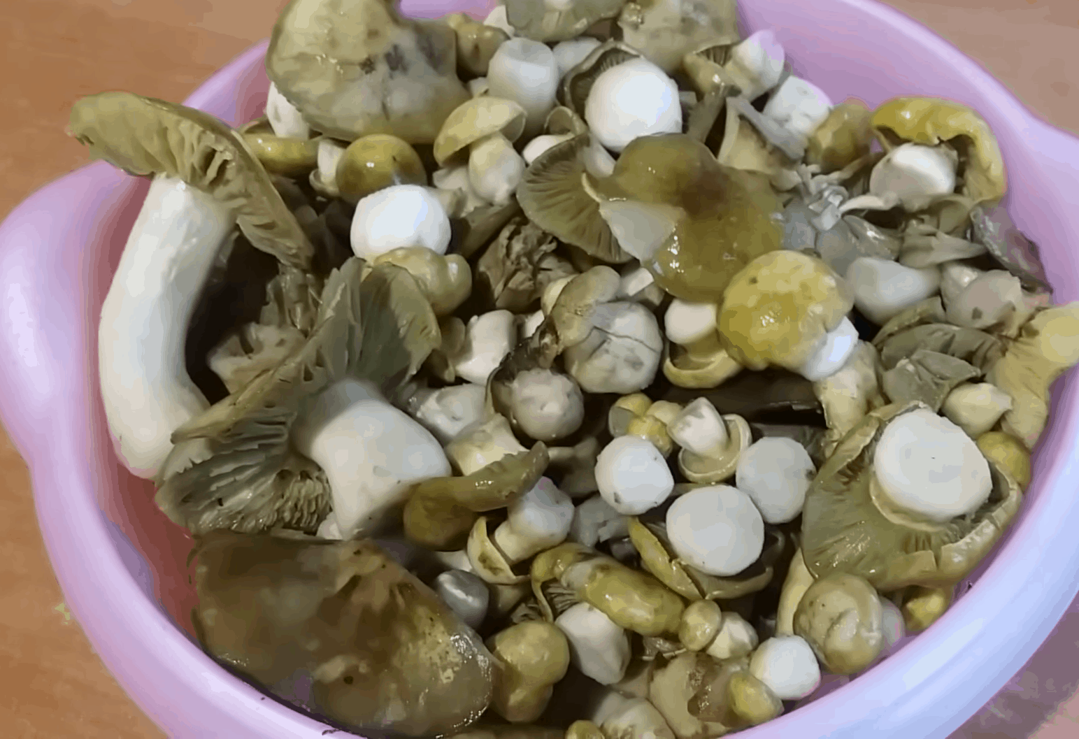 Способы и рецепты засолки грибов рядовок на зиму (+20 фото)