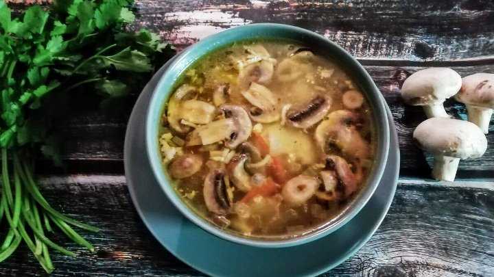 Грибные супы, 349 рецептов, фото-рецепты