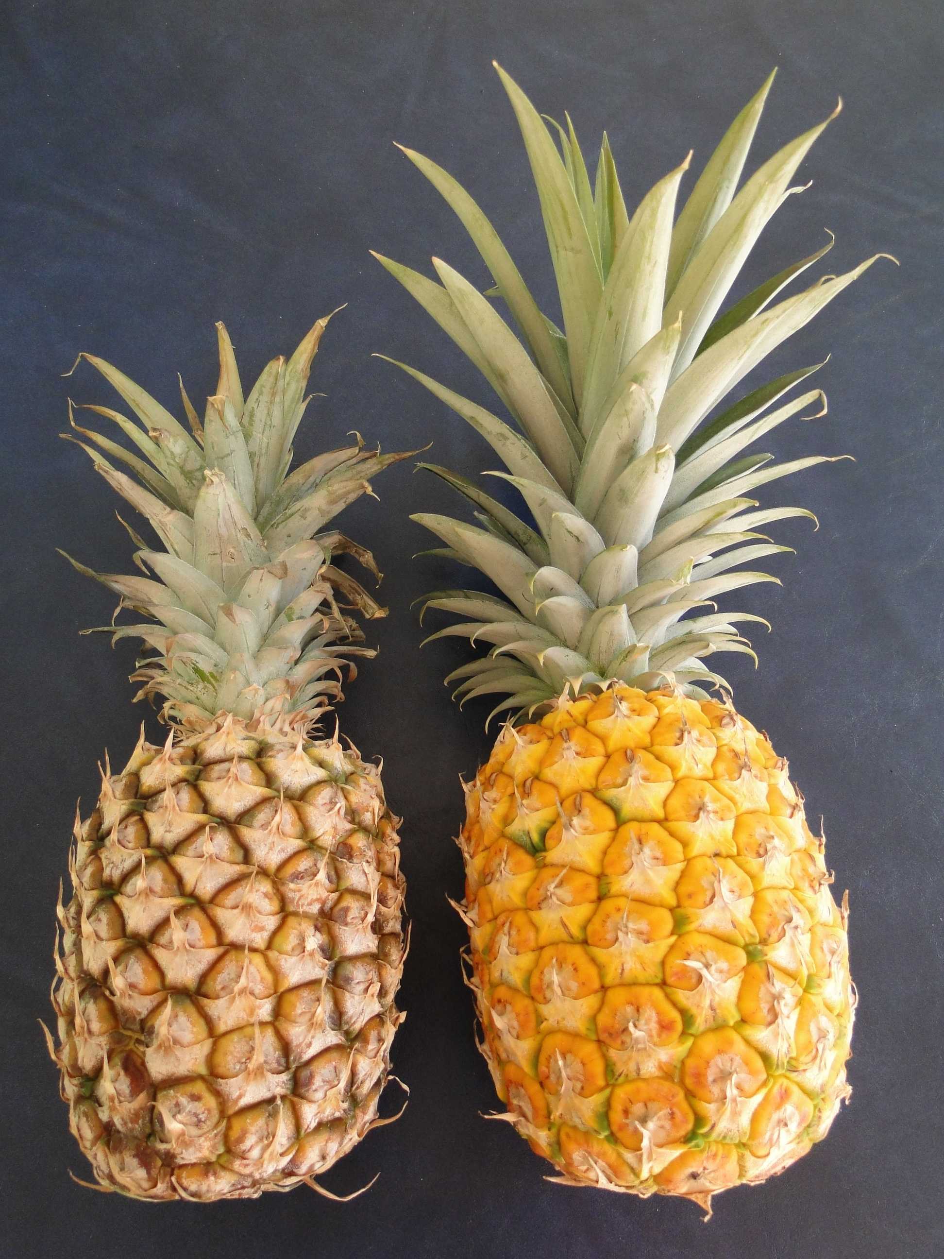 Подсказки, которые помогут выбрать спелый и сладкий ананас