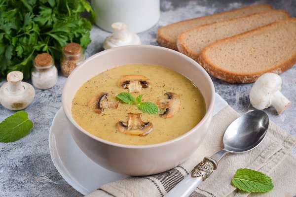 Суп с брокколи и грибами имеет приятный аромат и нежную консистенцию Детям он понравится за необычный цвет, а в сочетании с сухариками станет любим блюдом