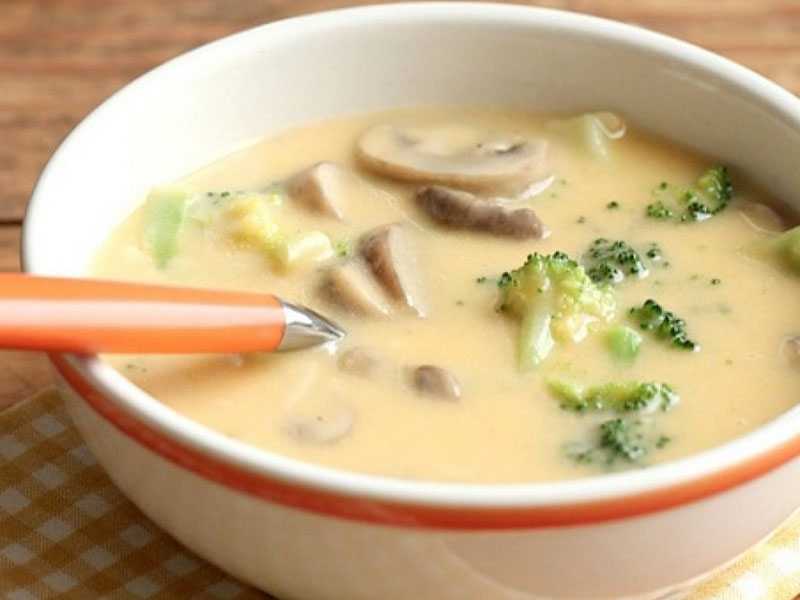 Суп с грибами и плавленным сыром – нежный вкус французской кухни: рецепт с фото и видео