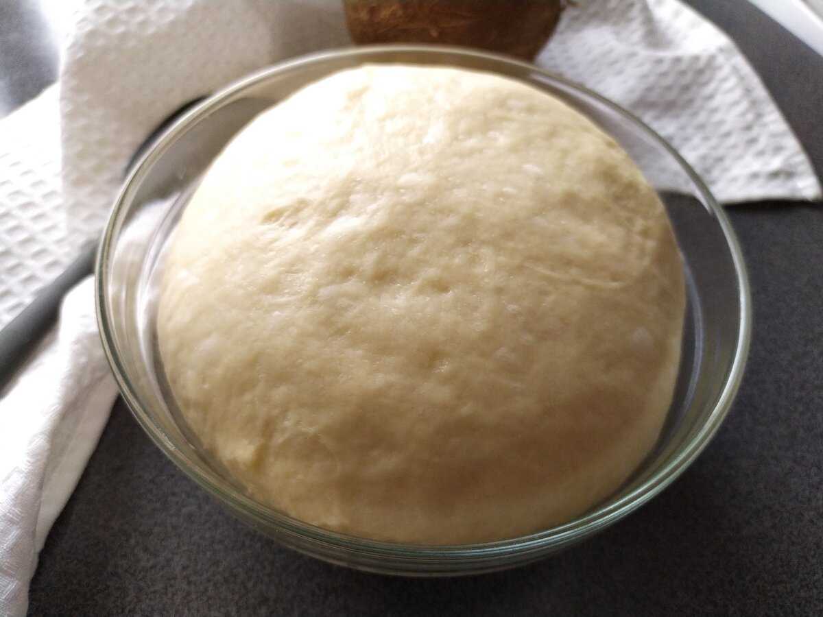 Тесто для пирожков дрожжевое в духовке пышные на молоке с фото пошагово из сухих дрожжей