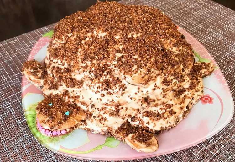 10 самых простых и вкусных рецептов торта «черепаха»