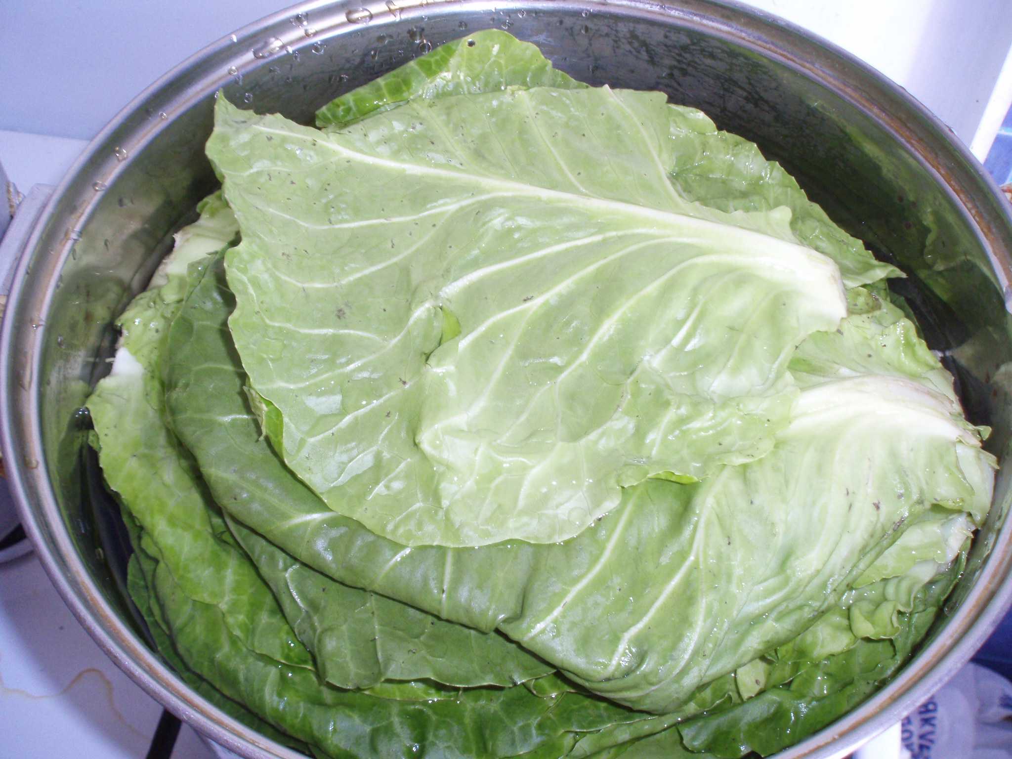 Тушеная капуста: простой рецепт приготовления сельского кушанья