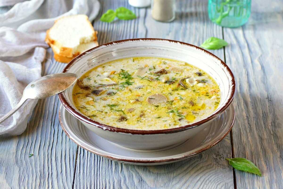 Грибной суп из сушеных грибов - самые вкусные рецепты