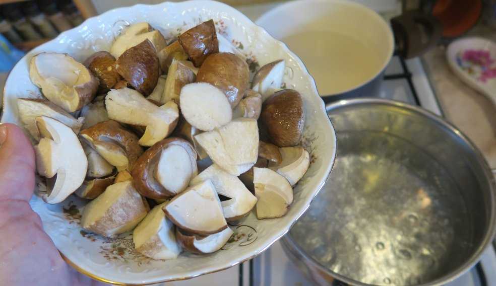 Сколько варить грибы перед готовкой или заморозкой