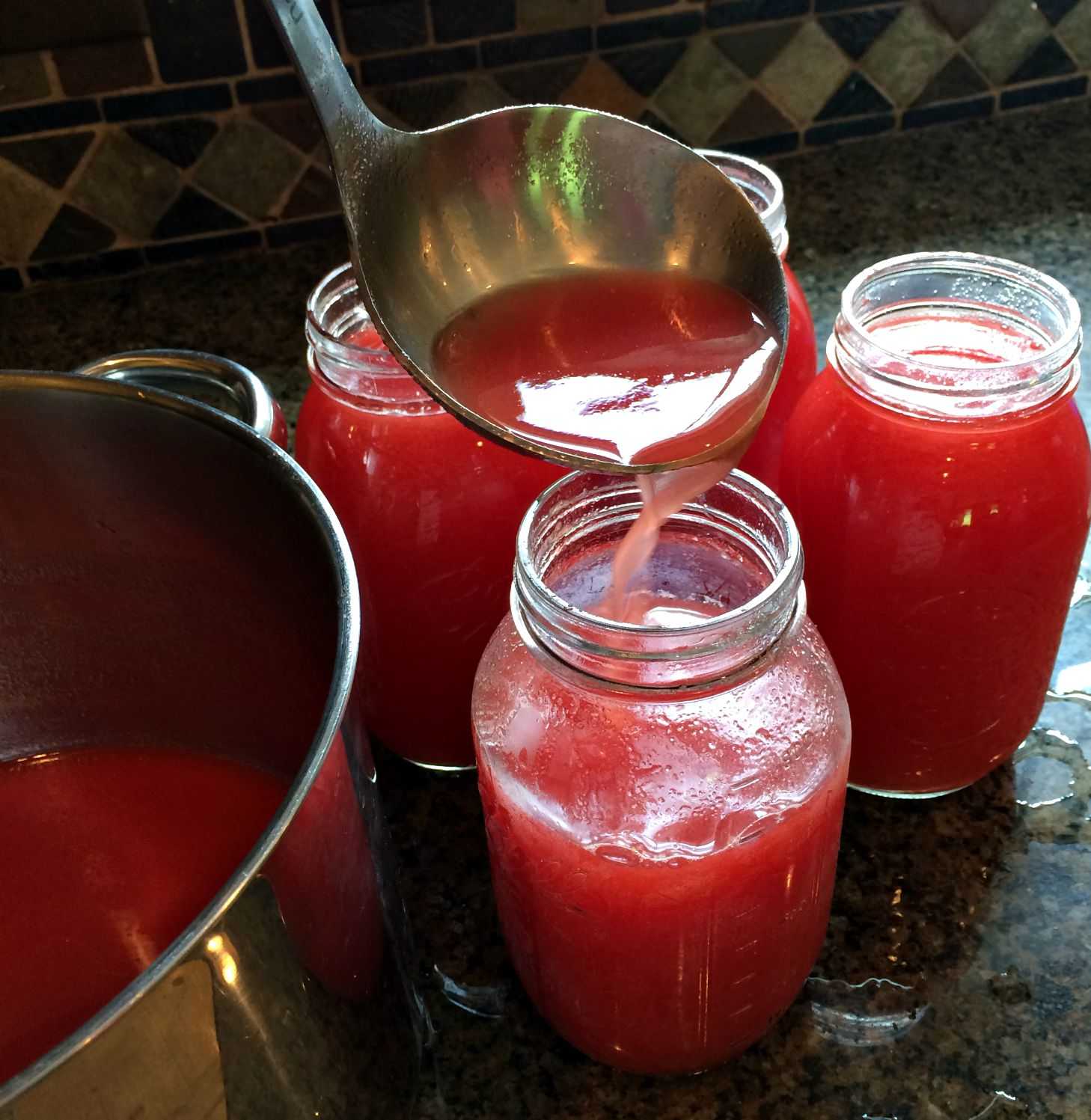 Томатный сок на зиму в домашних условиях — как приготовить вкусный сок из помидор без стерилизации