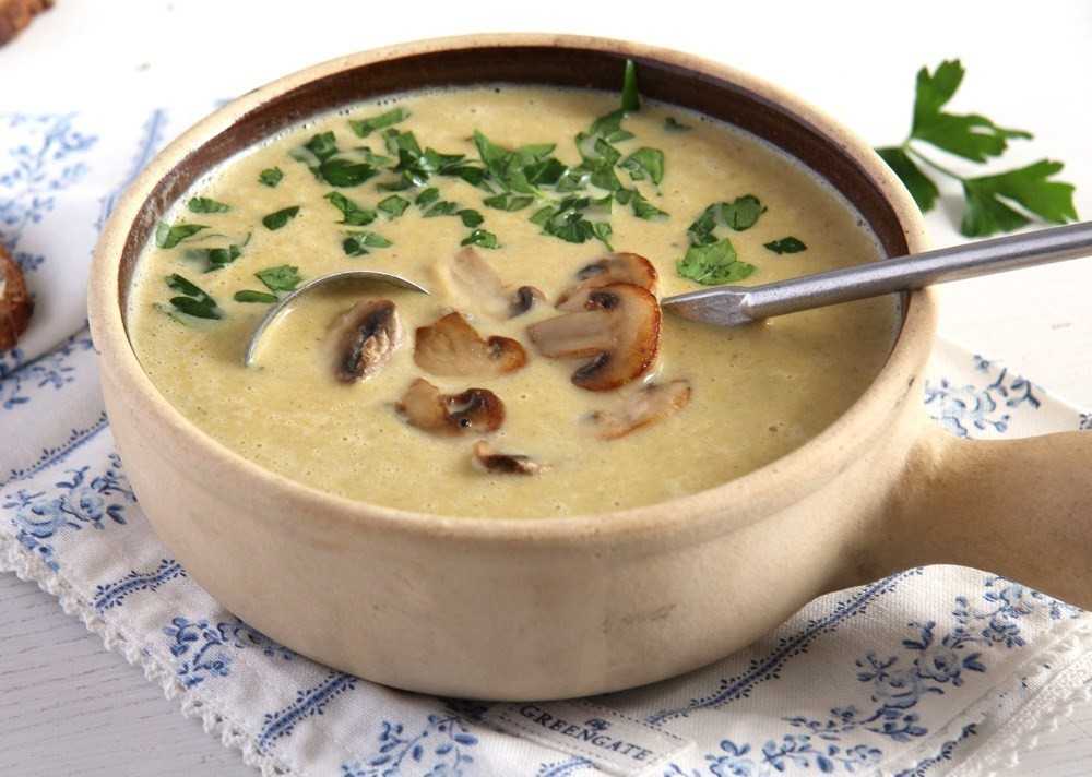 Рецепт диетического супа-пюре из шампиньонов: варианты? приготовления [2018] и фото грибного первого для похудения, а также крема