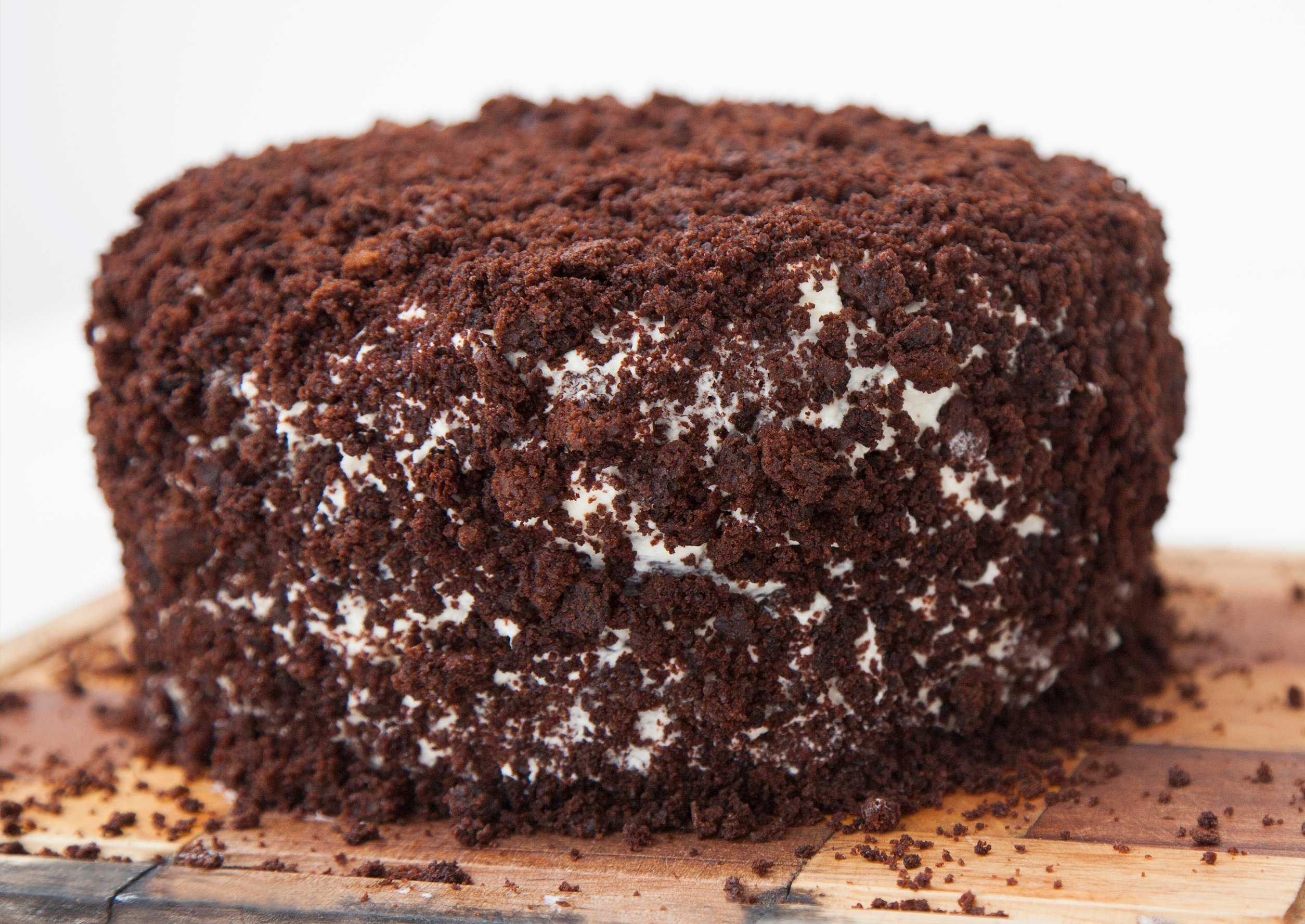 Торт на кефире: простые и вкусные рецепты с пошаговым фото