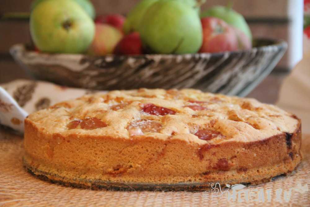 Яблочный пирог в духовке на кефире простой. Шарлотка. Яблочный пирог шарлотка. Шарлотка пышная с яблоками. Пышный пирог с яблоками.