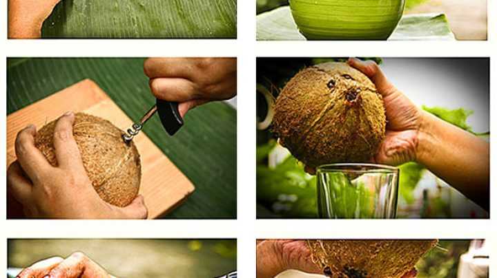 Как правильно кушать кокос – всё об орехах