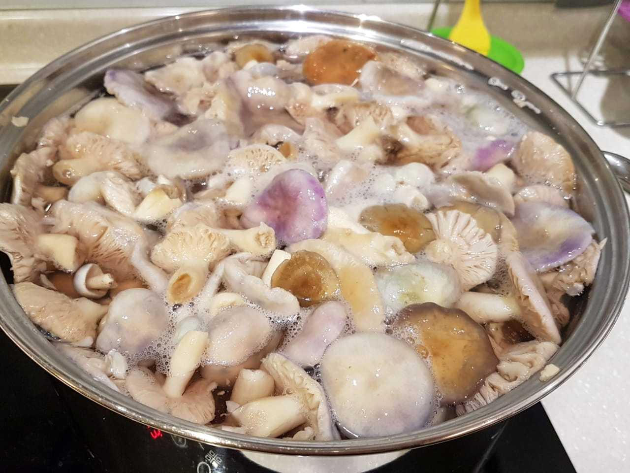 Можно ли готовить грибы. Сыроежки грибы жареные. Вареные сыроежки. Сыроежки грибы вареные. Вареные грибы.
