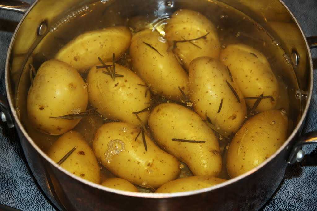 Как правильно варить картофель?