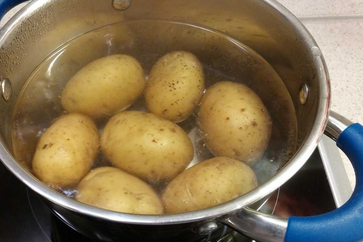 Как варить картошку в мундире, чтобы она не разварилась, и что делать, если все кастрюли заняты