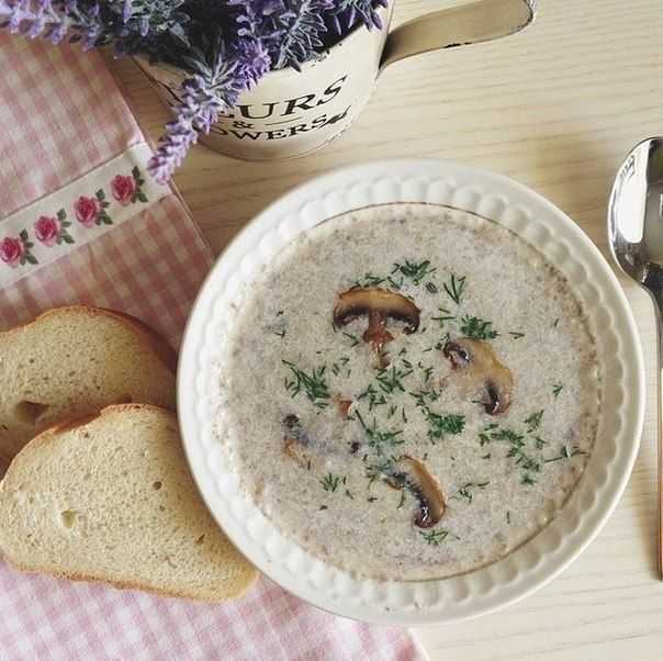 Суп из вешенок: простые и вкусные рецепты приготовления