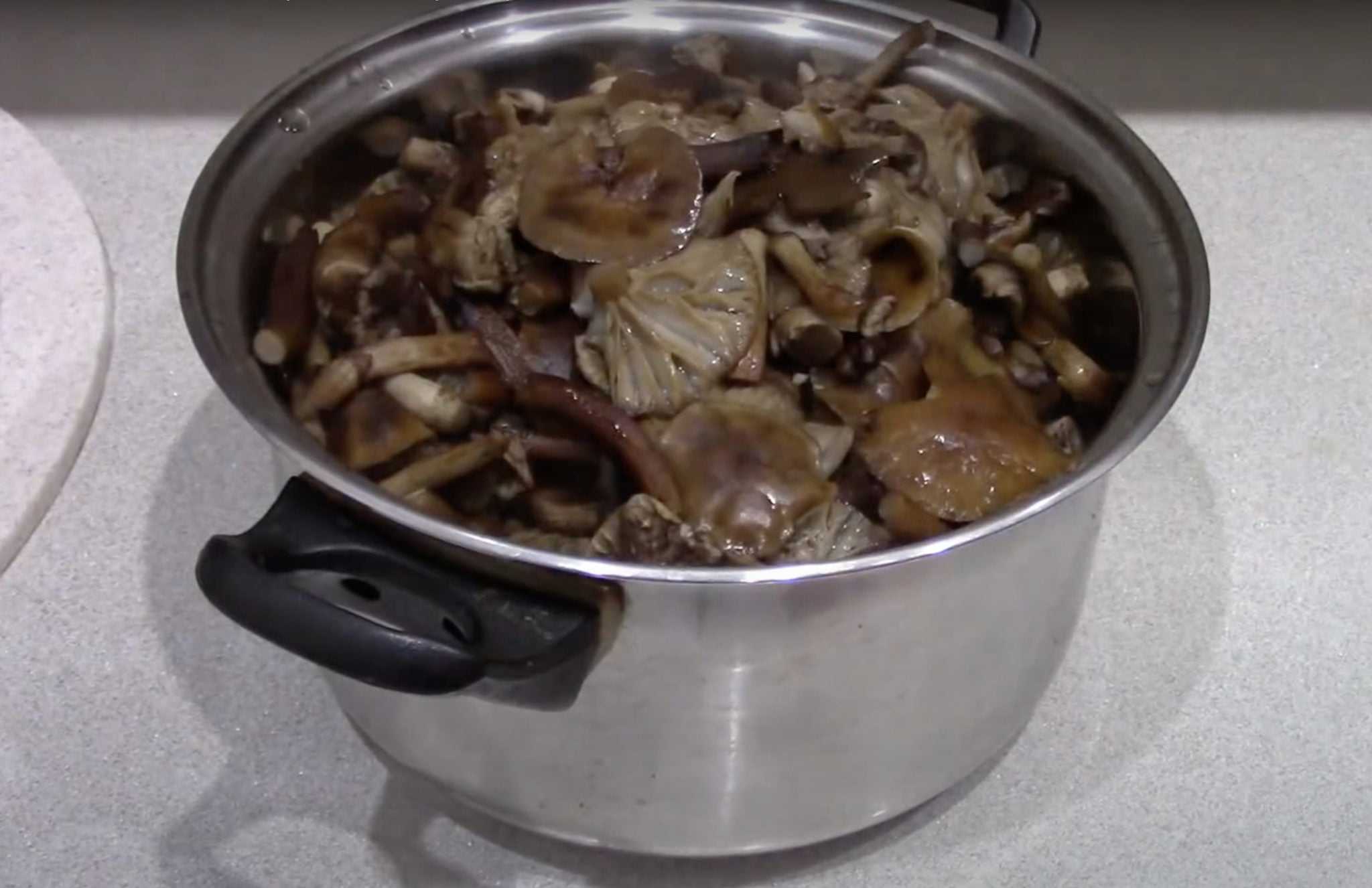 Сколько по времени варить замороженные белые грибы: для супа, перед жаркой, до готовности