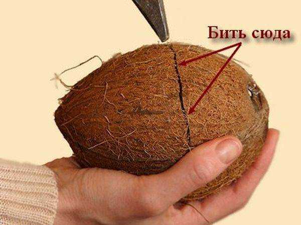 Как открыть кокос в домашних условиях: чем вскрыть и расколоть его дома, как разделать и почистить кокосовый орех, видео