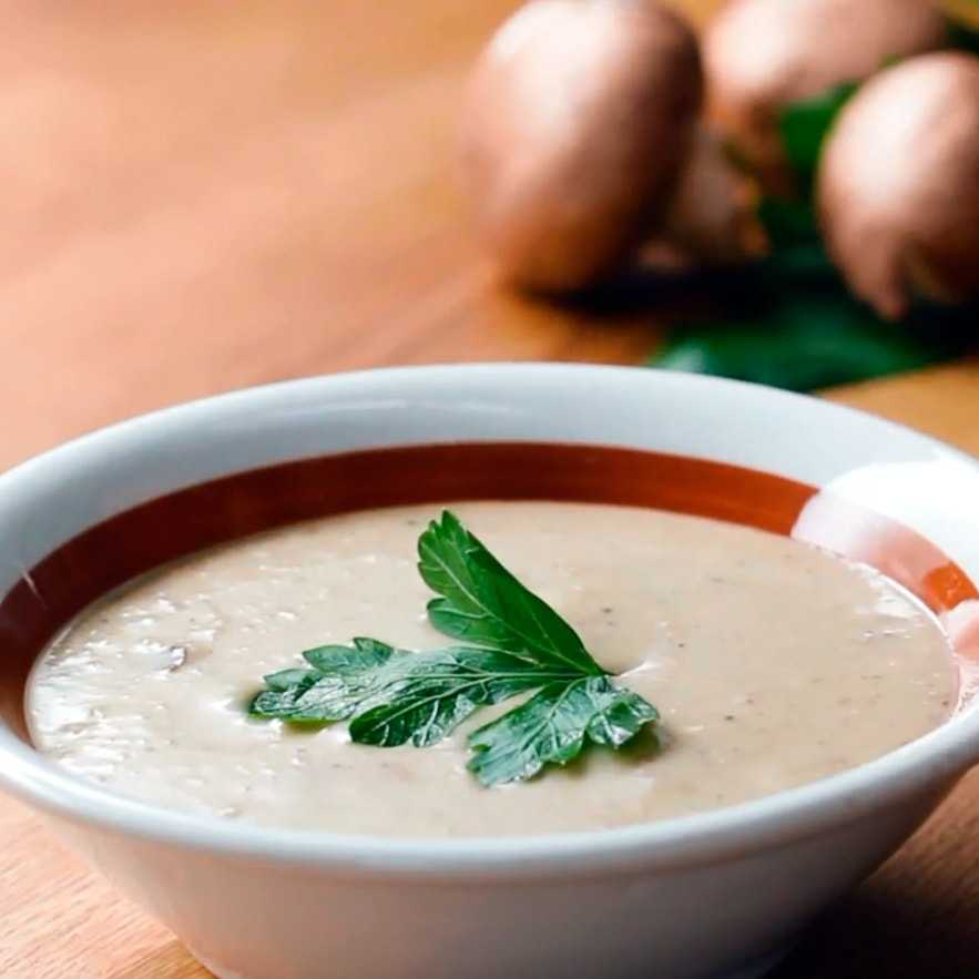 Суп-пюре из шампиньонов со сливками – 8 рецептов грибного крем-супа