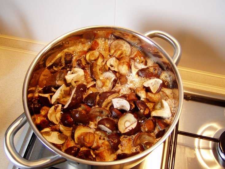 Сколько варить грибы? как варить сушеные и замороженные грибы?