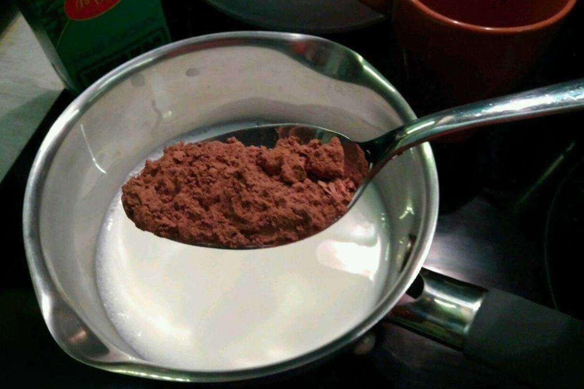 Как приготовить какао из какао порошка с молоком рецепт с фото
