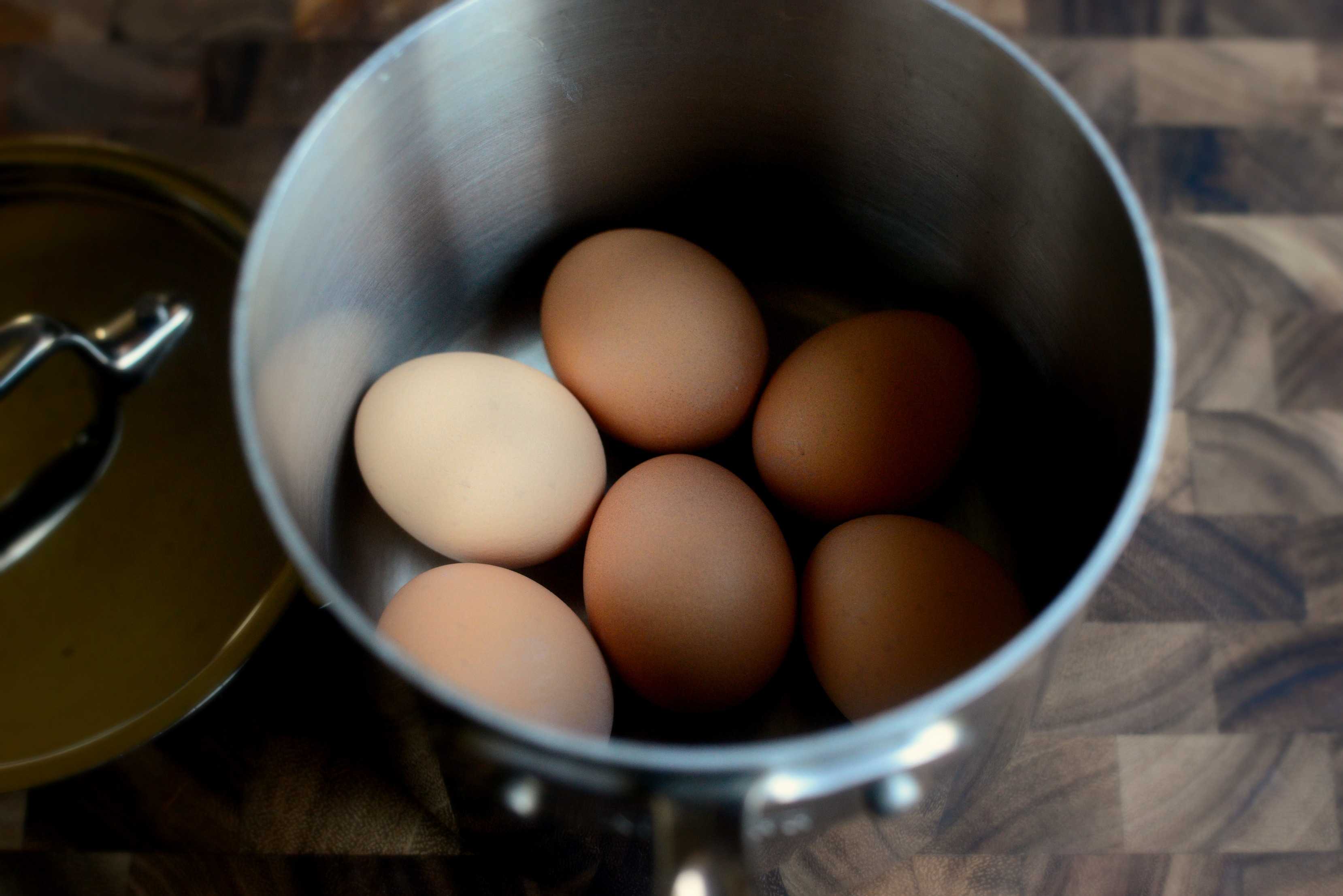 Видео вареные яички. Варка яиц на Пасху. Яйцо потресканное вареное. Треснувшее вареное яйцо. Яйца варятся.