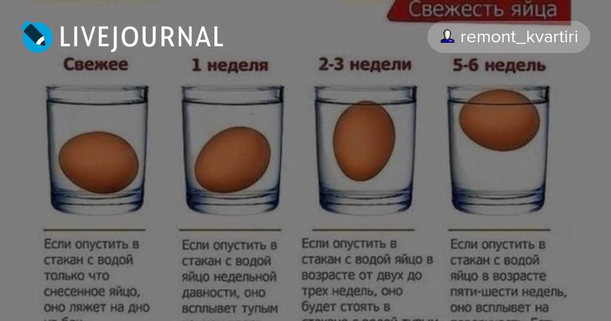 Проверить яйца на свежесть в воде домашних
