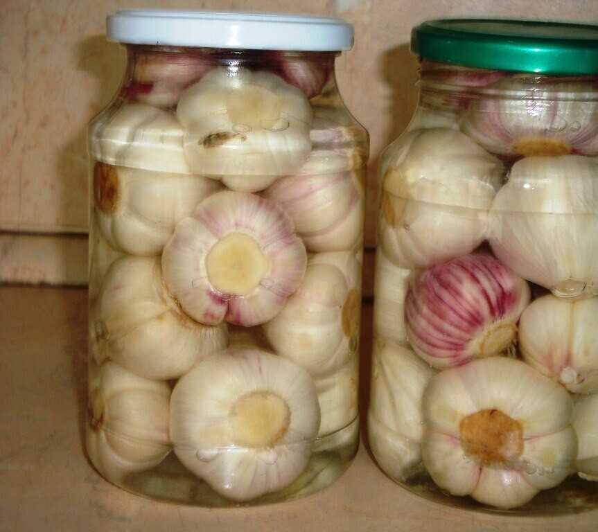 Рулетики из баклажанов с сыром и чесноком: 12 рецептов с фото — самый смак
