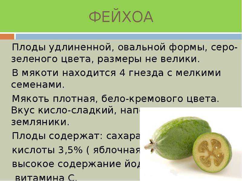 Как правильно есть фейхоа: как приготовить, чистить или нет?
