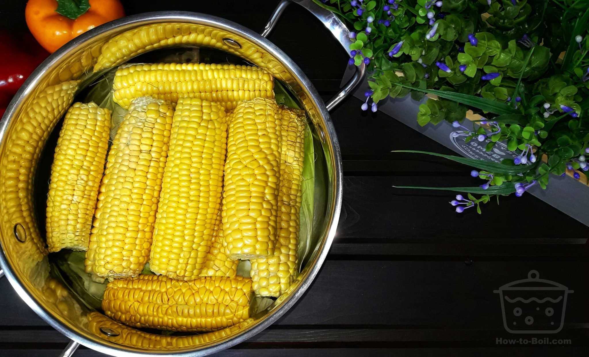 Варить початках в кастрюле. Вареная кукуруза. Сочная кукуруза вареная. Вареная кукуруза креативно. Как правильно варить кукурузу.
