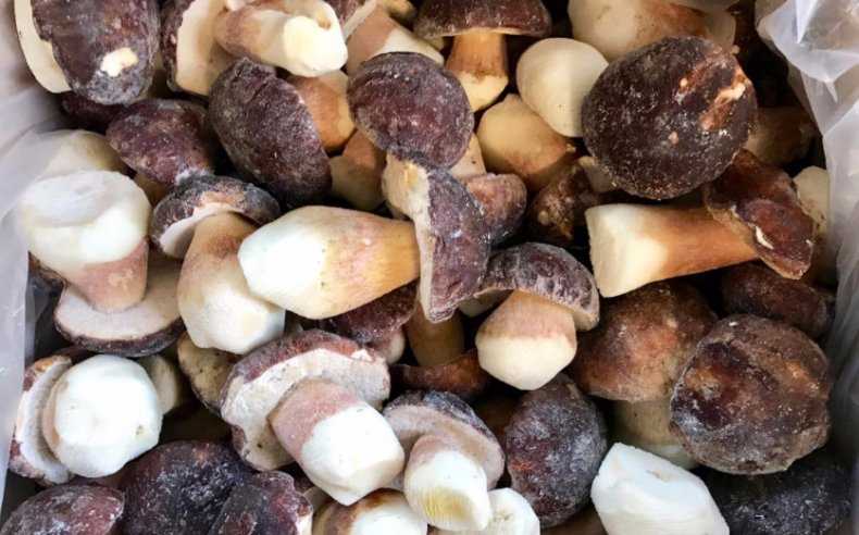 Сколько варить белые грибы перед жаркой: полезные рекомендации