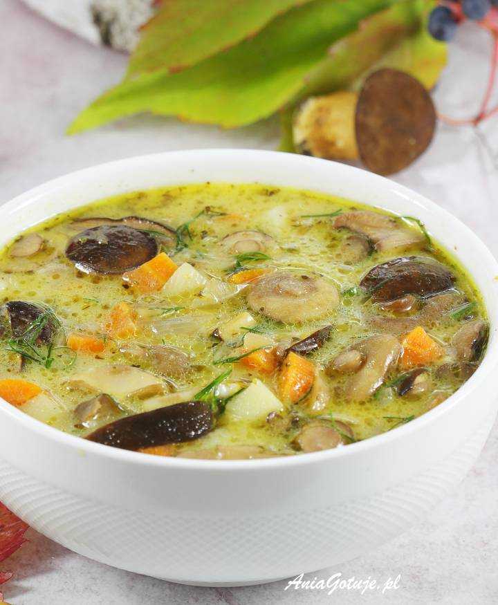 Суп-пюре из тыквы со сливками и сухариками пошаговый рецепт с фото