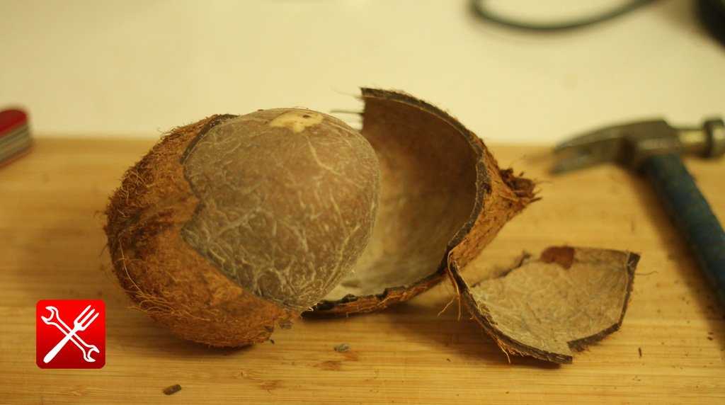 Как открыть кокос в домашних условиях: видео
