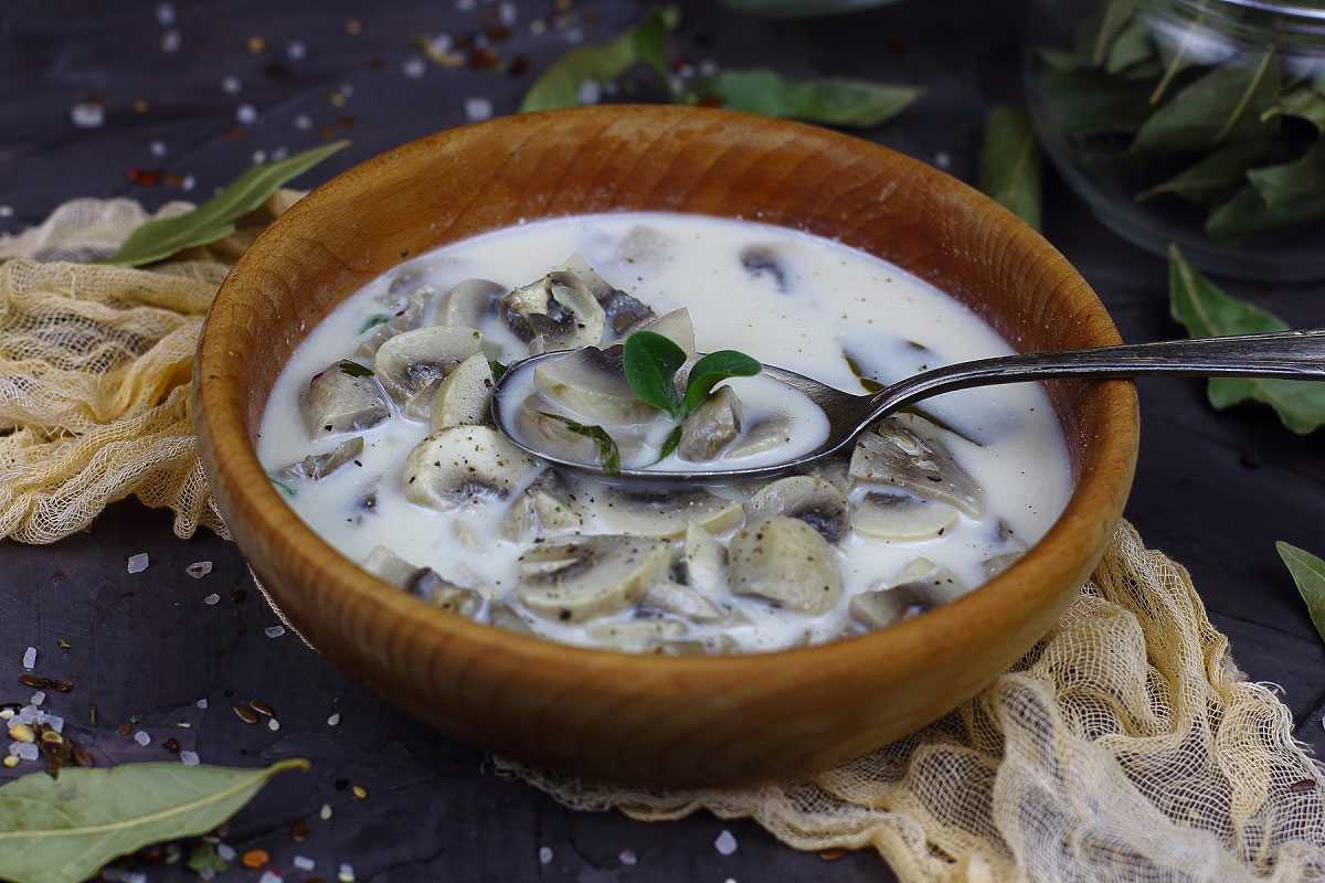 Куриный суп с шампиньонами – как приготовить по простому пошаговому рецепту