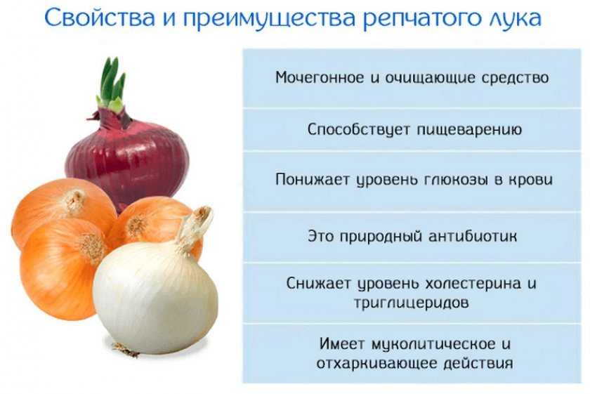 Как почистить лук быстро: 11 шагов (с иллюстрациями)