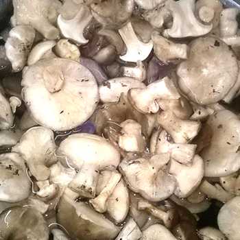 Как солить грибы в домашних условиях: пошаговые рецепты с фото