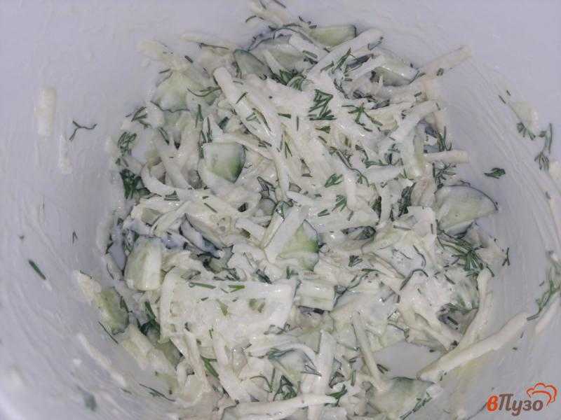 Капуста кольраби - польза и вред овоща в сыром и приготовленном виде