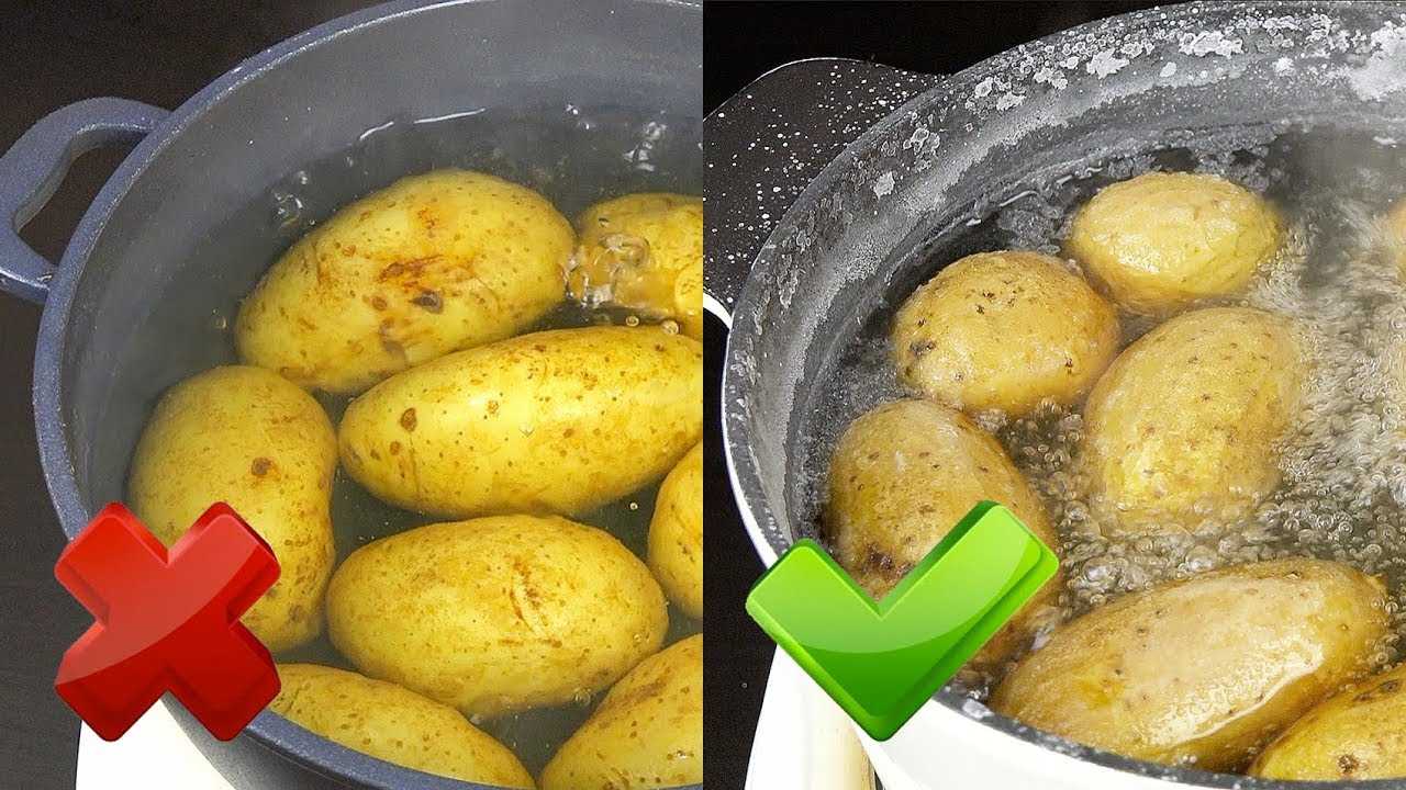 Как правильно варить картофель :: инфониак