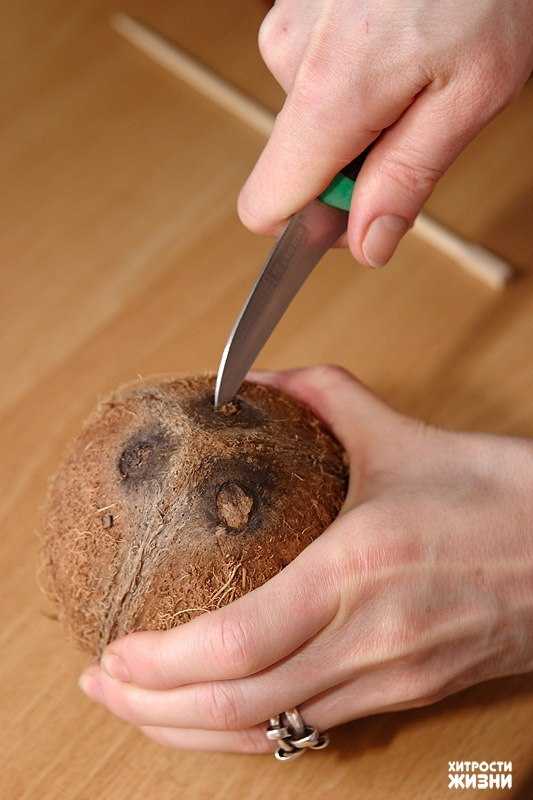 Как открыть кокос в домашних условиях: 6 лучших способов